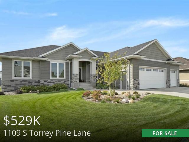 1109 S Torrey Pine Lane